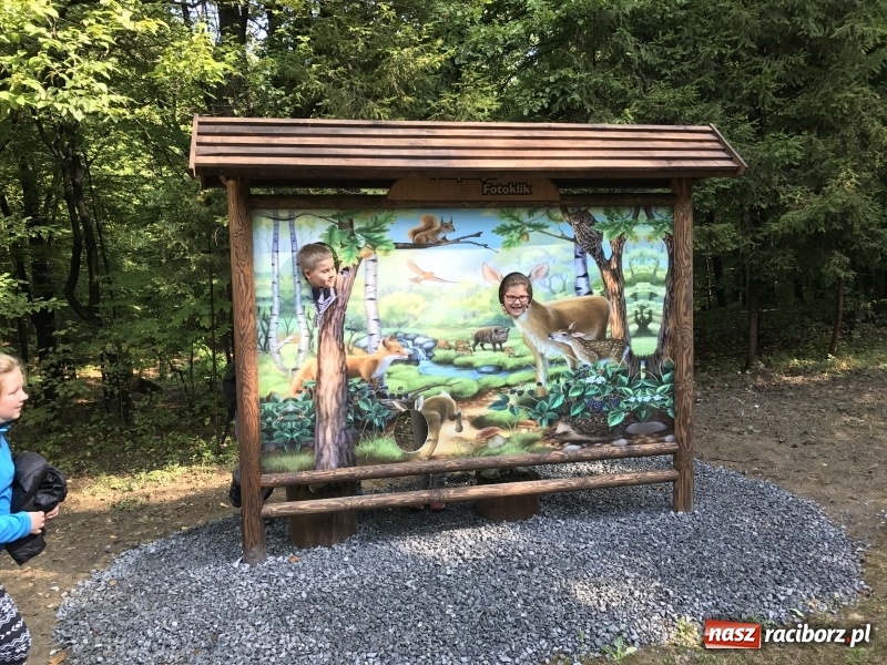 Zdjęcie w galerii na portalu naszraciborz.pl: W lesie Obora otwarto Zieloną Klasę. Sporo atrakcji dla najmłodszych wiadomości z regionu