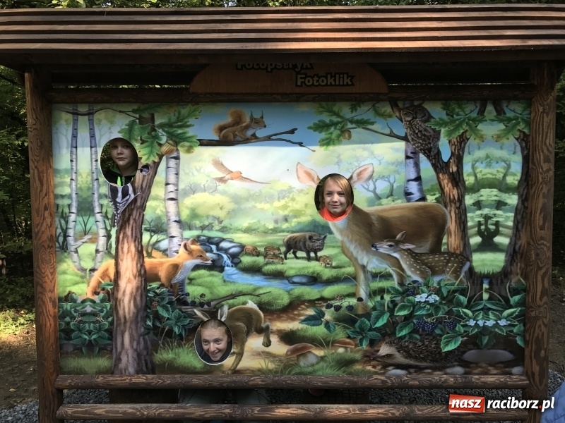 Zdjęcie w galerii na portalu naszraciborz.pl: W lesie Obora otwarto Zieloną Klasę. Sporo atrakcji dla najmłodszych wiadomości z regionu