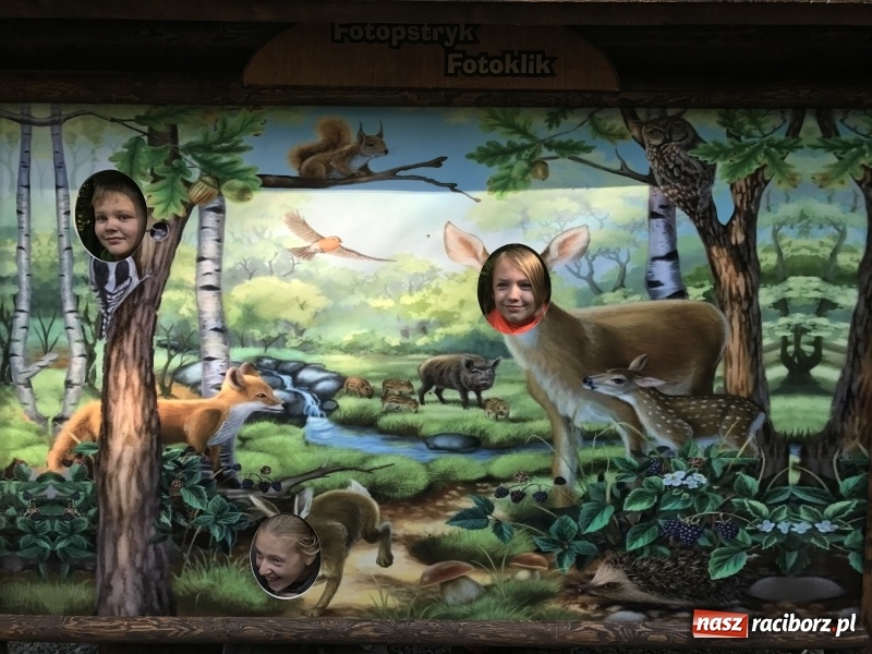 Zdjęcie w galerii na portalu naszraciborz.pl: W lesie Obora otwarto Zieloną Klasę. Sporo atrakcji dla najmłodszych wiadomości z regionu