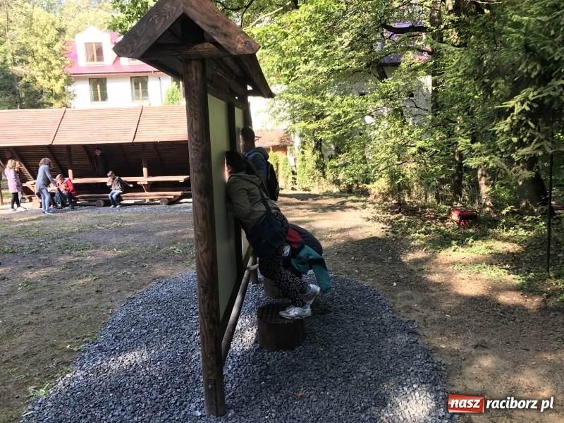 Zdjęcie w galerii na portalu naszraciborz.pl: W lesie Obora otwarto Zieloną Klasę. Sporo atrakcji dla najmłodszych wiadomości z regionu