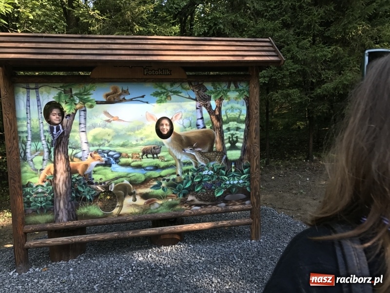 Zdjęcie w galerii na portalu naszraciborz.pl: W lesie Obora otwarto Zieloną Klasę. Sporo atrakcji dla najmłodszych wiadomości z regionu