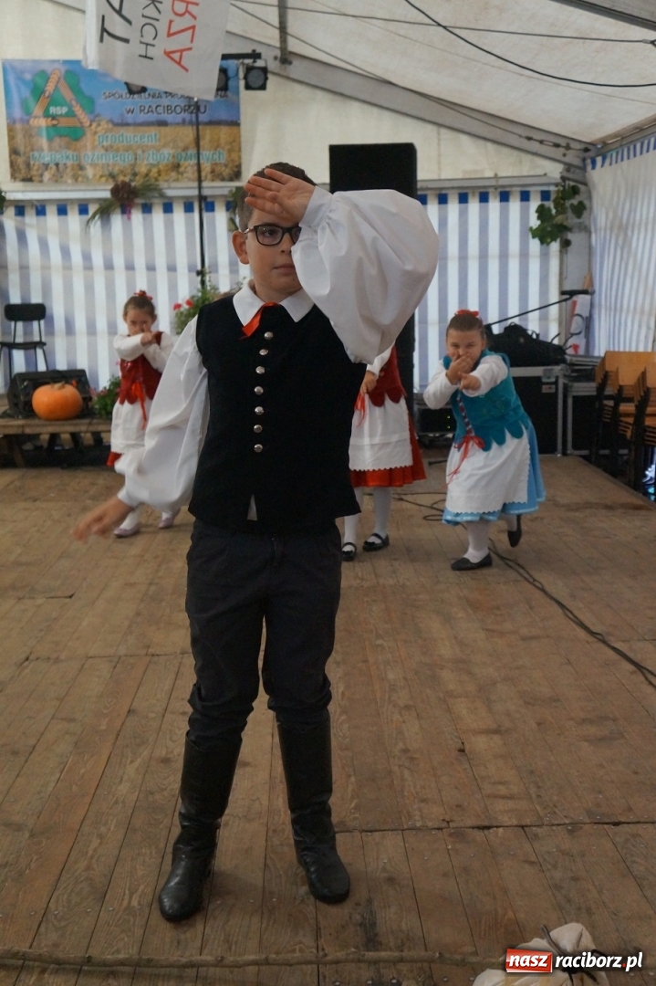 Zdjęcie w galerii na portalu naszraciborz.pl: Występy zespołów RCK podczas dożynek miejskich w Ocicach wiadomości z regionu