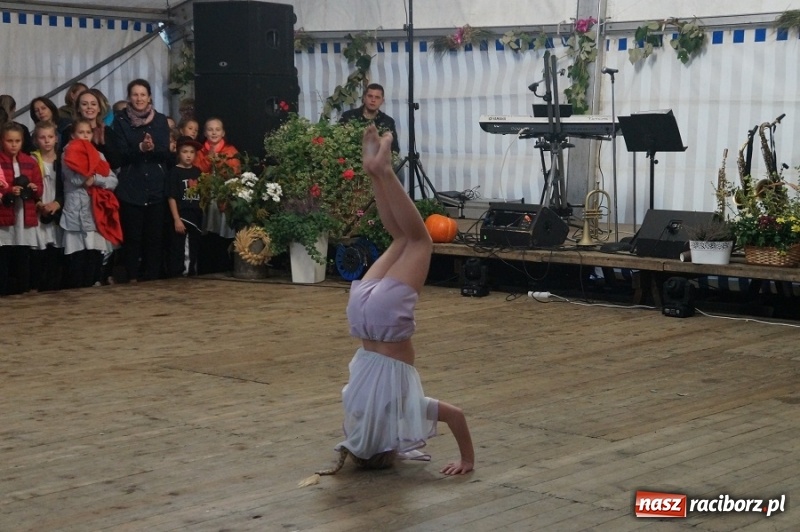 Zdjęcie w galerii na portalu naszraciborz.pl: Występy zespołów RCK podczas dożynek miejskich w Ocicach wiadomości z regionu