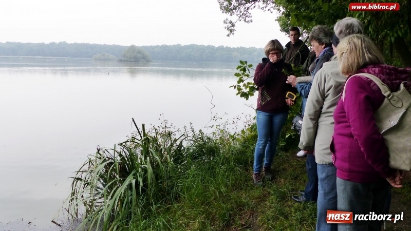 Zdjęcie w galerii na portalu naszraciborz.pl: Raciborska biblioteka zorganizowała spacer po Łężczoku w ramach Europejskich Dni Dziedzictwa wiadomości z regionu