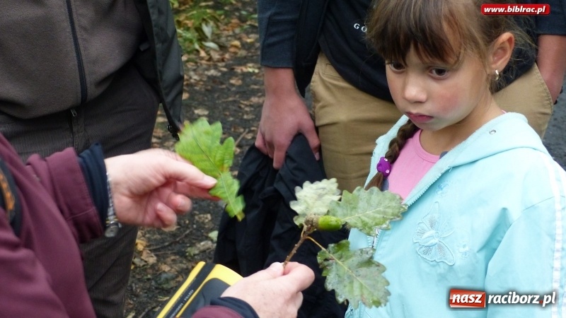 Zdjęcie w galerii na portalu naszraciborz.pl: Raciborska biblioteka zorganizowała spacer po Łężczoku w ramach Europejskich Dni Dziedzictwa wiadomości z regionu