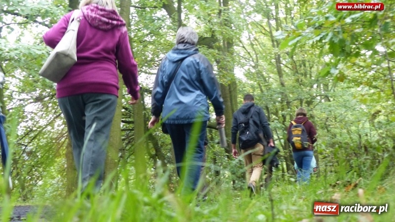 Zdjęcie w galerii na portalu naszraciborz.pl: Raciborska biblioteka zorganizowała spacer po Łężczoku w ramach Europejskich Dni Dziedzictwa wiadomości z regionu