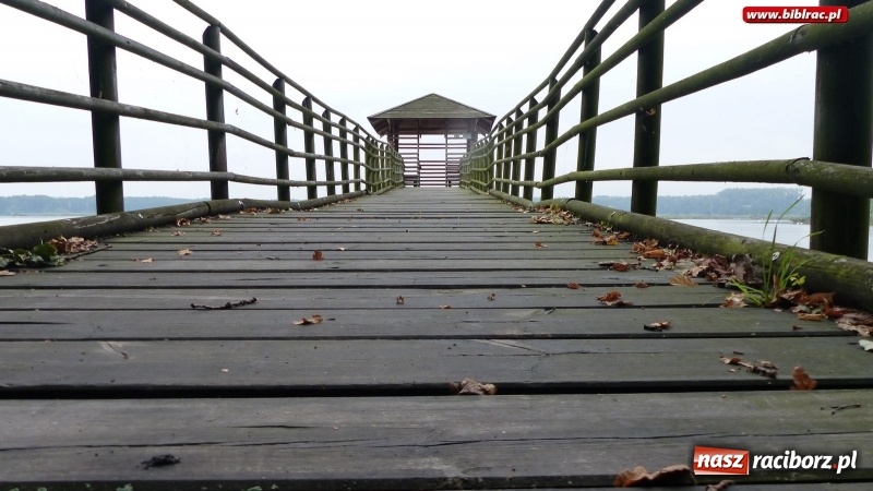 Zdjęcie w galerii na portalu naszraciborz.pl: Raciborska biblioteka zorganizowała spacer po Łężczoku w ramach Europejskich Dni Dziedzictwa wiadomości z regionu