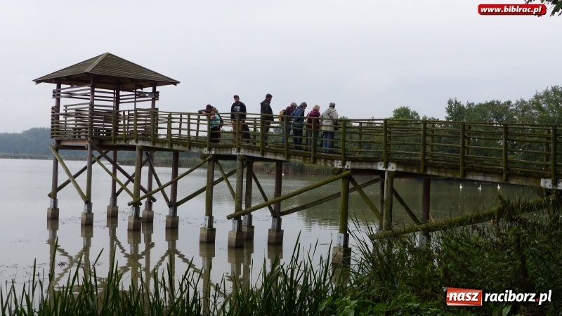 Zdjęcie w galerii na portalu naszraciborz.pl: Raciborska biblioteka zorganizowała spacer po Łężczoku w ramach Europejskich Dni Dziedzictwa wiadomości z regionu