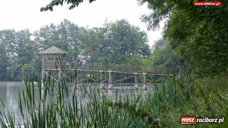 Zdjęcie w galerii na portalu naszraciborz.pl: Raciborska biblioteka zorganizowała spacer po Łężczoku w ramach Europejskich Dni Dziedzictwa wiadomości z regionu