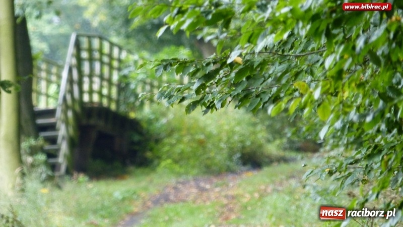 Zdjęcie w galerii na portalu naszraciborz.pl: Raciborska biblioteka zorganizowała spacer po Łężczoku w ramach Europejskich Dni Dziedzictwa wiadomości z regionu