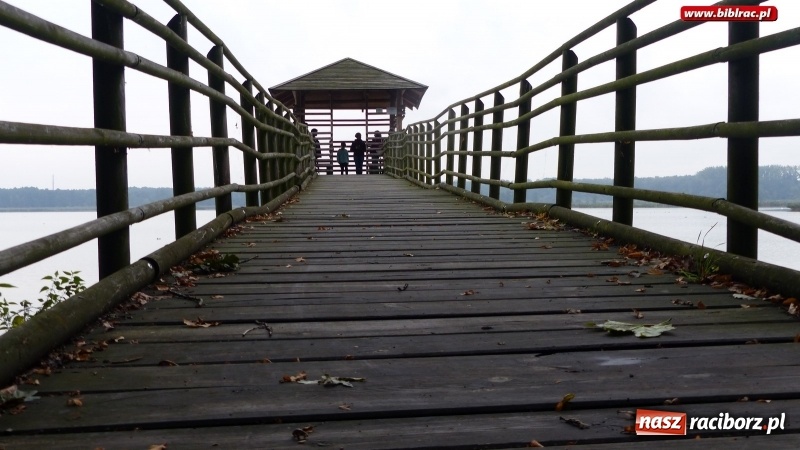 Zdjęcie w galerii na portalu naszraciborz.pl: Raciborska biblioteka zorganizowała spacer po Łężczoku w ramach Europejskich Dni Dziedzictwa wiadomości z regionu
