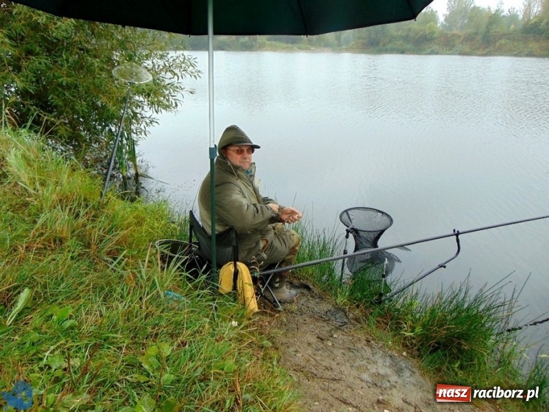 Zdjęcie w galerii na portalu naszraciborz.pl: Zawody spławikowe o Puchar Prezydenta Miasta Racibórz 2017 wiadomości z regionu