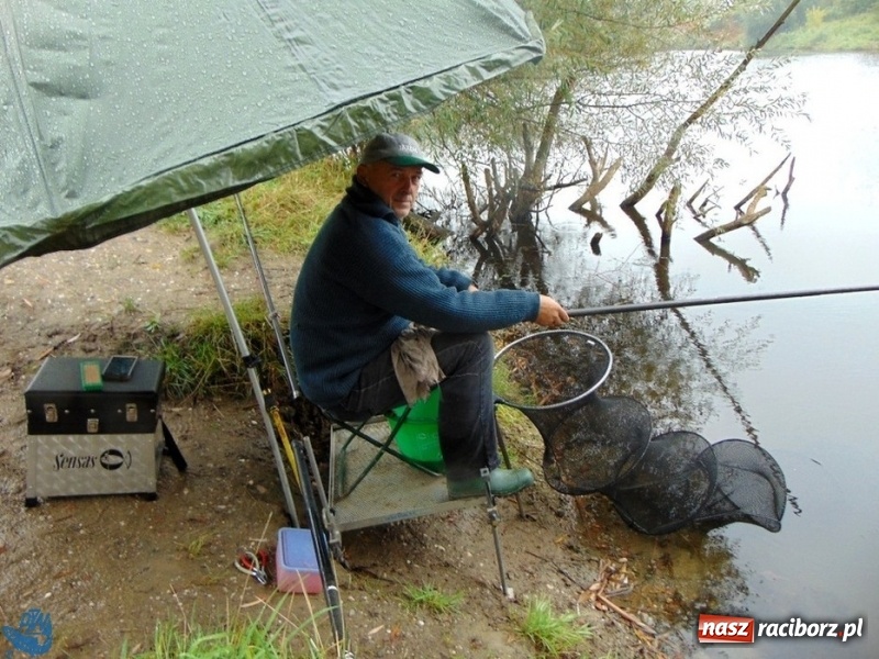 Zdjęcie w galerii na portalu naszraciborz.pl: Zawody spławikowe o Puchar Prezydenta Miasta Racibórz 2017 wiadomości z regionu