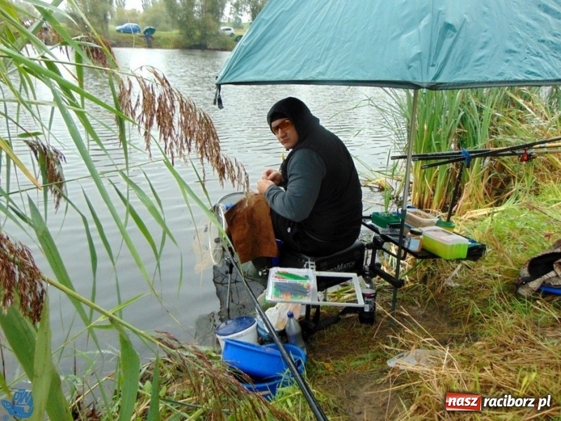 Zdjęcie w galerii na portalu naszraciborz.pl: Zawody spławikowe o Puchar Prezydenta Miasta Racibórz 2017 wiadomości z regionu