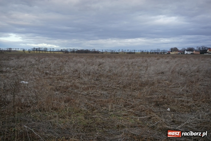 Zdjęcie w galerii na portalu naszraciborz.pl: Ceny działek na Ocicach szybują w górę. Jak wytłumaczyć to zjawisko? wiadomości z regionu