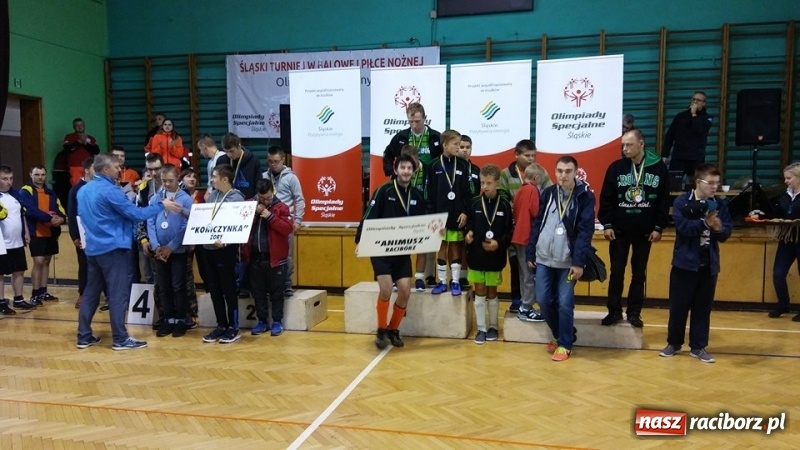 Zdjęcie w galerii na portalu naszraciborz.pl: Złoto drużyny Animusz Racibórz w halowym turnieju piłki nożnej w Rudzie Śląskiej wiadomości z regionu