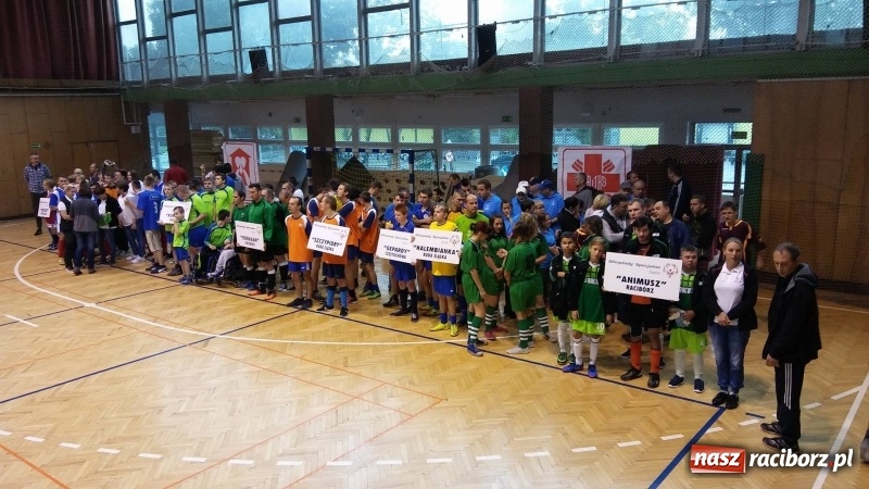 Zdjęcie w galerii na portalu naszraciborz.pl: Złoto drużyny Animusz Racibórz w halowym turnieju piłki nożnej w Rudzie Śląskiej wiadomości z regionu