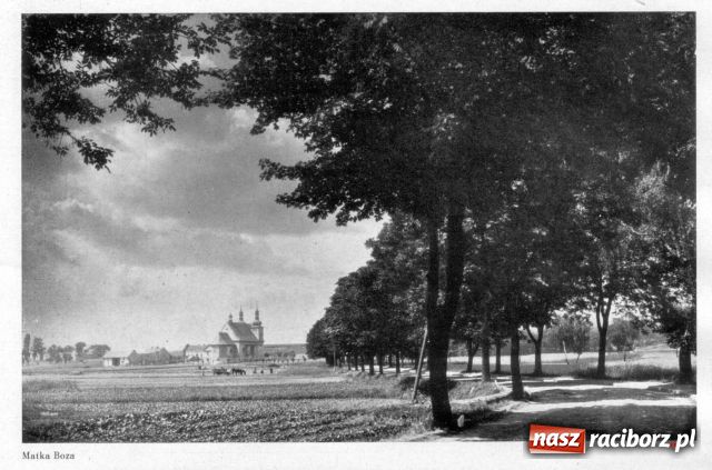 Zdjęcie w galerii na portalu naszraciborz.pl: Deutschlands Städtebau - Ratibor wiadomości z regionu