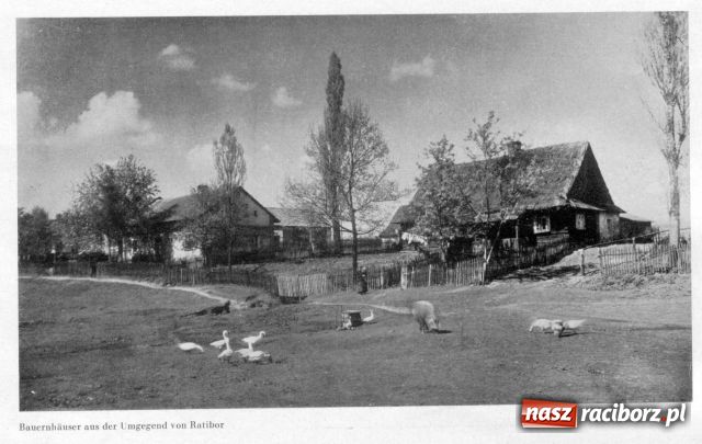 Zdjęcie w galerii na portalu naszraciborz.pl: Deutschlands Städtebau - Ratibor wiadomości z regionu