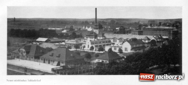 Zdjęcie w galerii na portalu naszraciborz.pl: Deutschlands Städtebau - Ratibor wiadomości z regionu