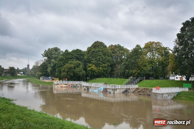 Zdjęcie w galerii na portalu naszraciborz.pl: Odra znów blisko raciborskiej plaży i bulwarów wiadomości z regionu