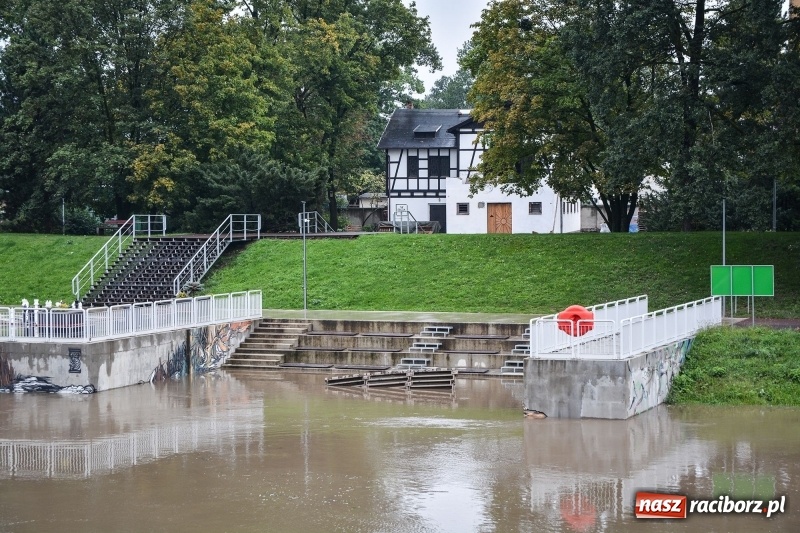 Zdjęcie w galerii na portalu naszraciborz.pl: Odra znów blisko raciborskiej plaży i bulwarów wiadomości z regionu
