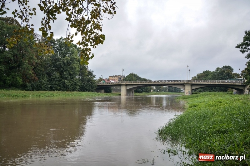 Zdjęcie w galerii na portalu naszraciborz.pl: Odra znów blisko raciborskiej plaży i bulwarów wiadomości z regionu