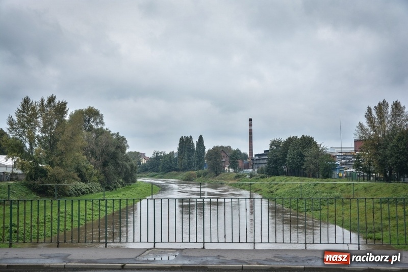 Zdjęcie w galerii na portalu naszraciborz.pl: Odra znów blisko raciborskiej plaży i bulwarów wiadomości z regionu
