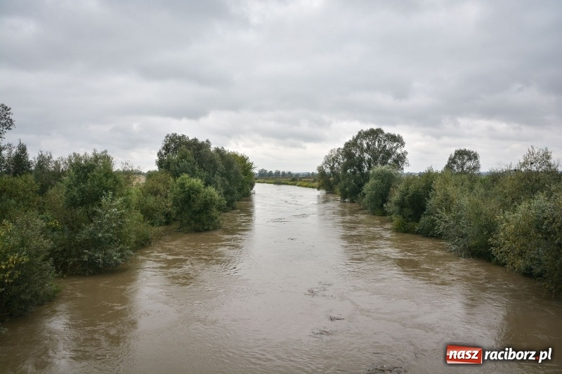 Zdjęcie w galerii na portalu naszraciborz.pl: Odra znów blisko raciborskiej plaży i bulwarów wiadomości z regionu