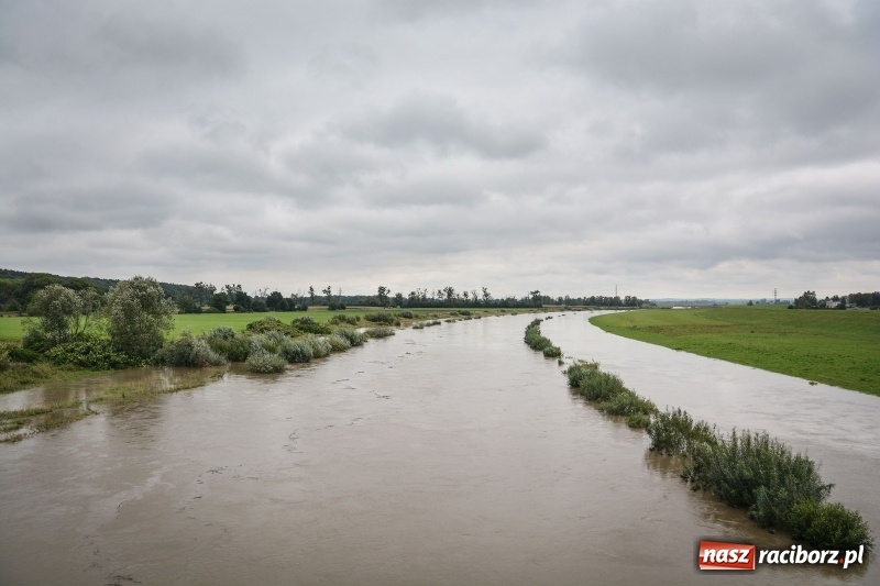 Zdjęcie w galerii na portalu naszraciborz.pl: Odra znów blisko raciborskiej plaży i bulwarów wiadomości z regionu