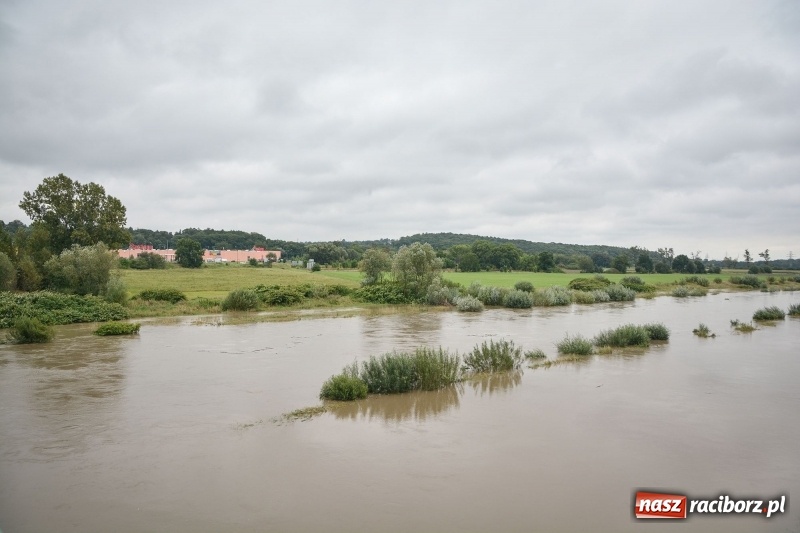 Zdjęcie w galerii na portalu naszraciborz.pl: Odra znów blisko raciborskiej plaży i bulwarów wiadomości z regionu