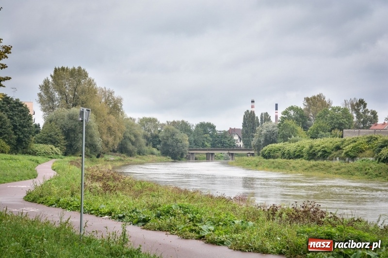 Zdjęcie w galerii na portalu naszraciborz.pl: Odra znów blisko raciborskiej plaży i bulwarów wiadomości z regionu