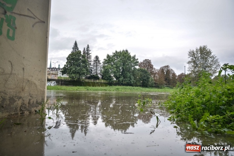 Zdjęcie w galerii na portalu naszraciborz.pl: Odra znów blisko raciborskiej plaży i bulwarów wiadomości z regionu