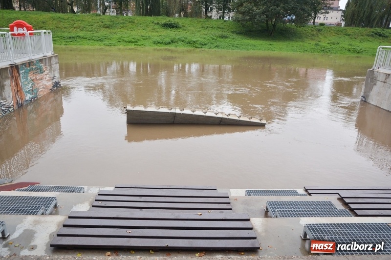 Zdjęcie w galerii na portalu naszraciborz.pl: Odra znów blisko raciborskiej plaży i bulwarów wiadomości z regionu