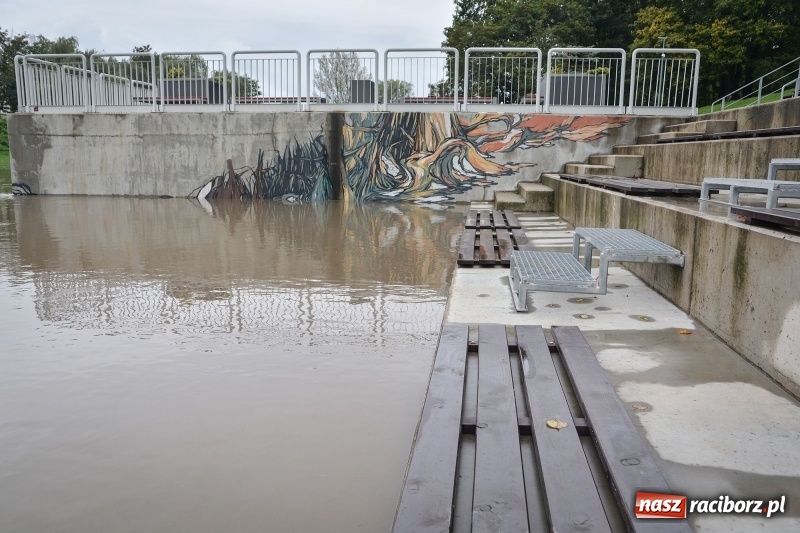 Zdjęcie w galerii na portalu naszraciborz.pl: Odra znów blisko raciborskiej plaży i bulwarów wiadomości z regionu