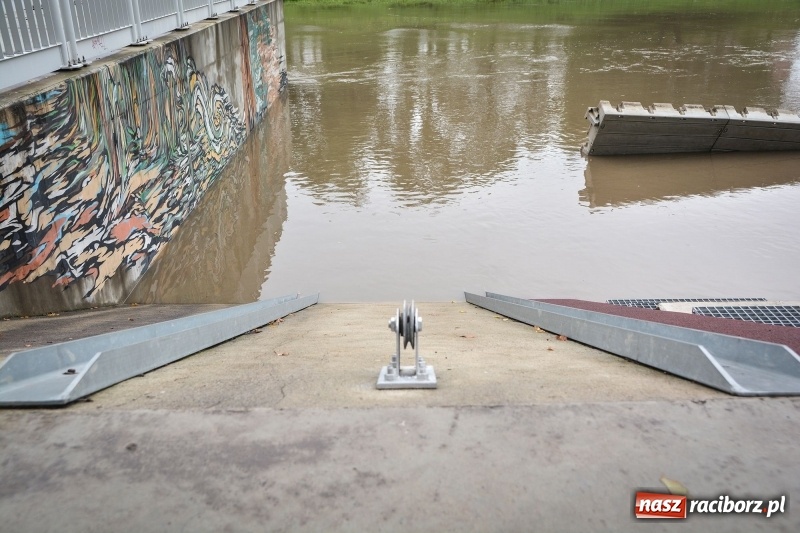 Zdjęcie w galerii na portalu naszraciborz.pl: Odra znów blisko raciborskiej plaży i bulwarów wiadomości z regionu