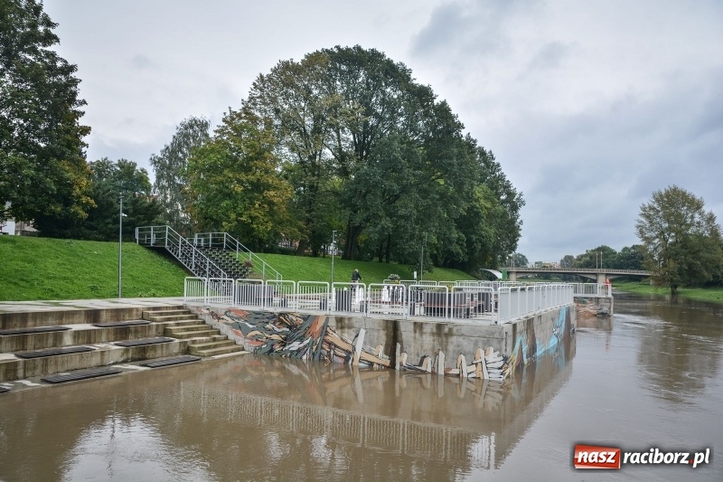 Zdjęcie w galerii na portalu naszraciborz.pl: Odra znów blisko raciborskiej plaży i bulwarów wiadomości z regionu