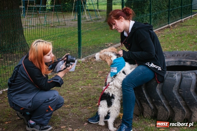 Zdjęcie w galerii na portalu naszraciborz.pl: Zakończenie lata z raciborskim klubem Strefa wiadomości z regionu