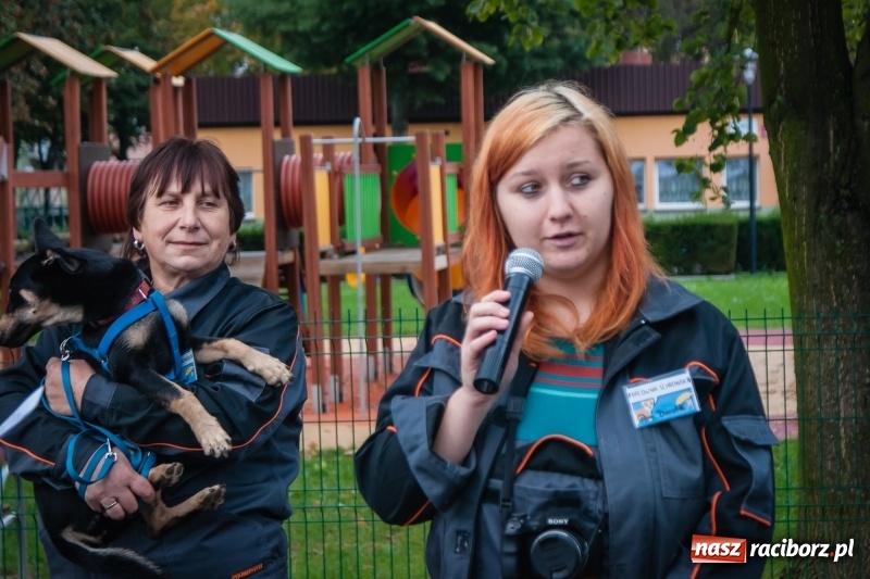 Zdjęcie w galerii na portalu naszraciborz.pl: Zakończenie lata z raciborskim klubem Strefa wiadomości z regionu