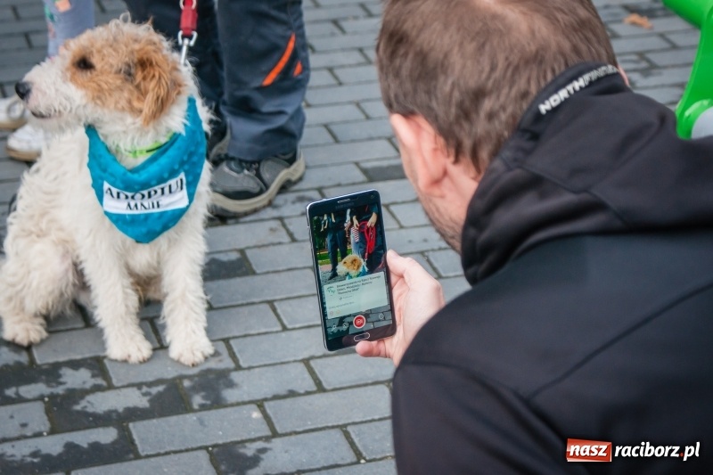 Zdjęcie w galerii na portalu naszraciborz.pl: Zakończenie lata z raciborskim klubem Strefa wiadomości z regionu