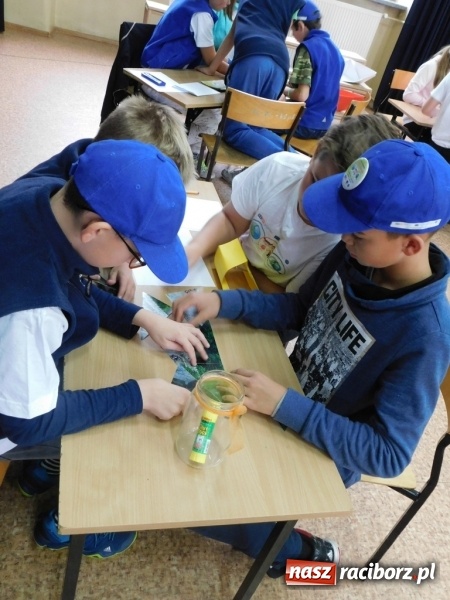 Zdjęcie w galerii na portalu naszraciborz.pl: Podsumowanie polsko-czeskiego projektu Janka i Honza- ekologiczni badacze w SP 4 wiadomości z regionu