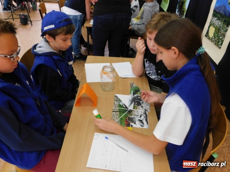 Zdjęcie w galerii na portalu naszraciborz.pl: Podsumowanie polsko-czeskiego projektu Janka i Honza- ekologiczni badacze w SP 4 wiadomości z regionu