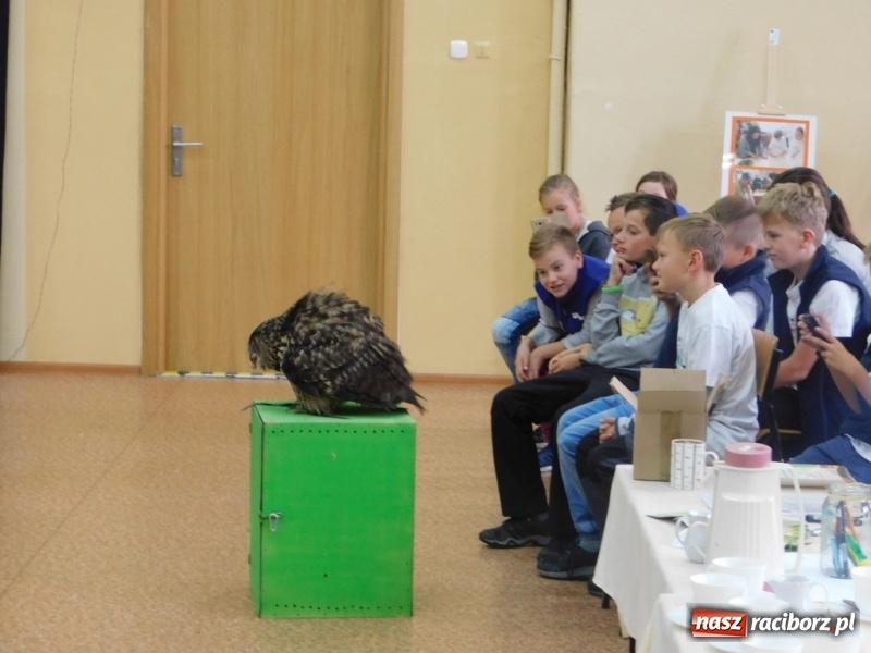 Zdjęcie w galerii na portalu naszraciborz.pl: Podsumowanie polsko-czeskiego projektu Janka i Honza- ekologiczni badacze w SP 4 wiadomości z regionu