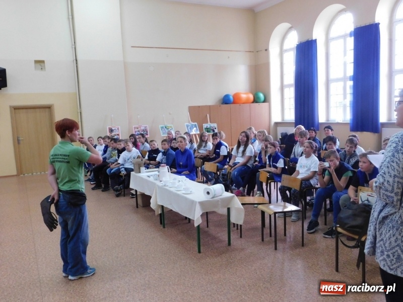 Zdjęcie w galerii na portalu naszraciborz.pl: Podsumowanie polsko-czeskiego projektu Janka i Honza- ekologiczni badacze w SP 4 wiadomości z regionu