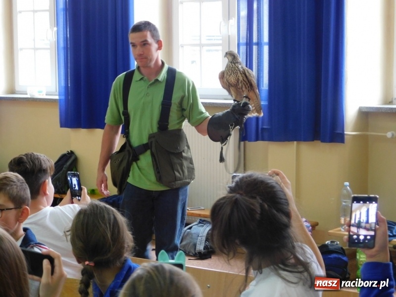 Zdjęcie w galerii na portalu naszraciborz.pl: Podsumowanie polsko-czeskiego projektu Janka i Honza- ekologiczni badacze w SP 4 wiadomości z regionu