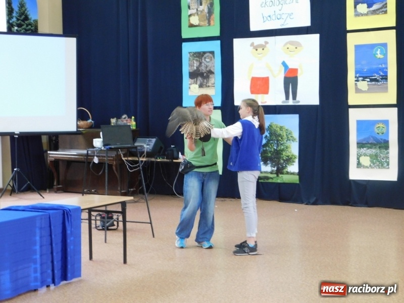 Zdjęcie w galerii na portalu naszraciborz.pl: Podsumowanie polsko-czeskiego projektu Janka i Honza- ekologiczni badacze w SP 4 wiadomości z regionu