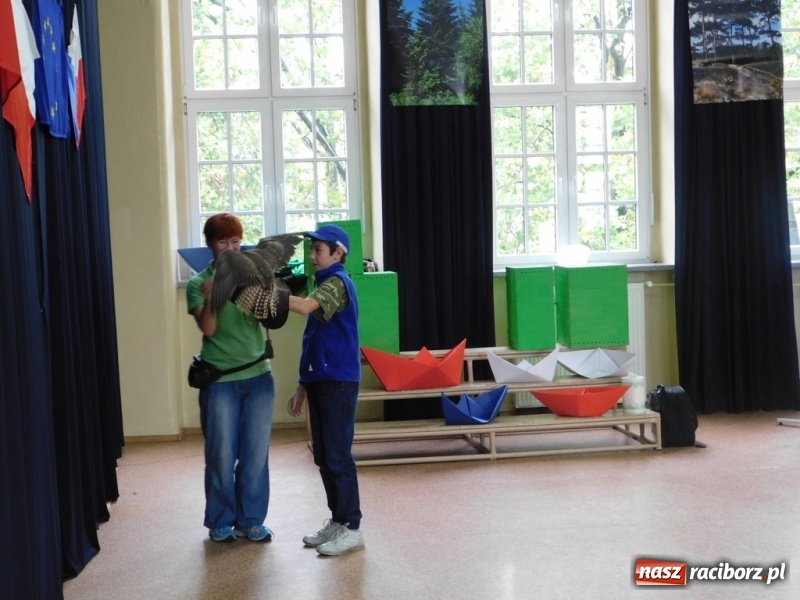 Zdjęcie w galerii na portalu naszraciborz.pl: Podsumowanie polsko-czeskiego projektu Janka i Honza- ekologiczni badacze w SP 4 wiadomości z regionu