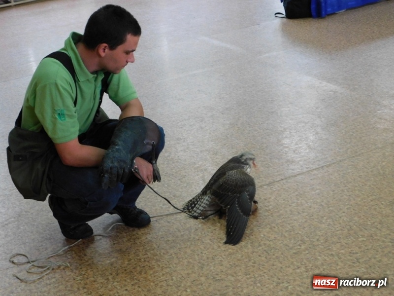 Zdjęcie w galerii na portalu naszraciborz.pl: Podsumowanie polsko-czeskiego projektu Janka i Honza- ekologiczni badacze w SP 4 wiadomości z regionu