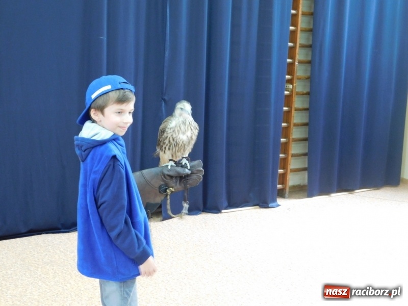 Zdjęcie w galerii na portalu naszraciborz.pl: Podsumowanie polsko-czeskiego projektu Janka i Honza- ekologiczni badacze w SP 4 wiadomości z regionu