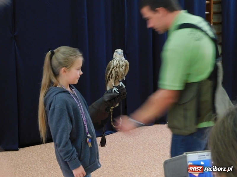 Zdjęcie w galerii na portalu naszraciborz.pl: Podsumowanie polsko-czeskiego projektu Janka i Honza- ekologiczni badacze w SP 4 wiadomości z regionu
